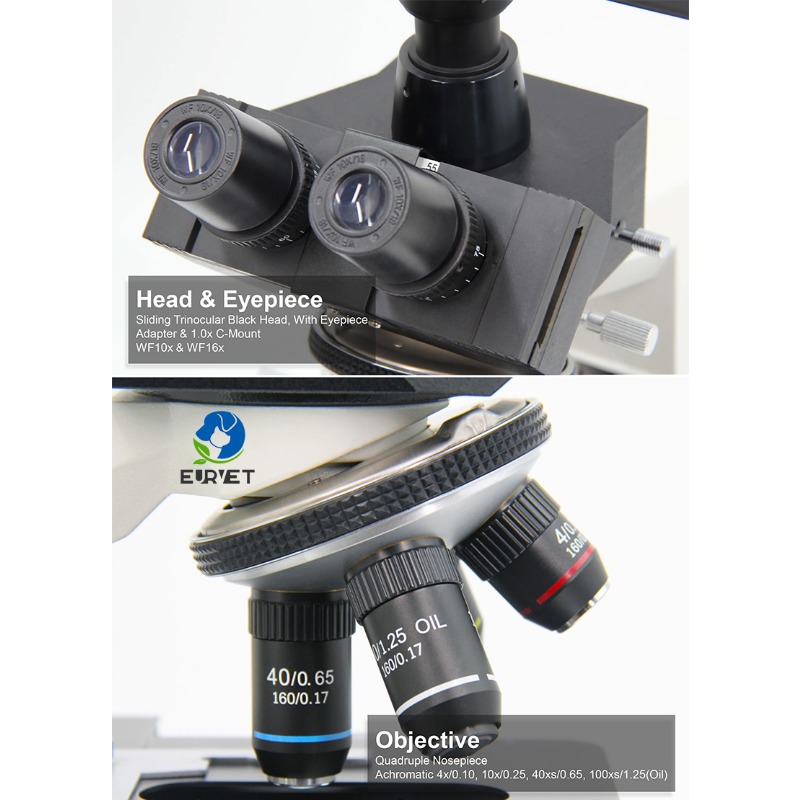 Microscopio Biologico Digitale - Medical Lab Scientist recensione e prezzo