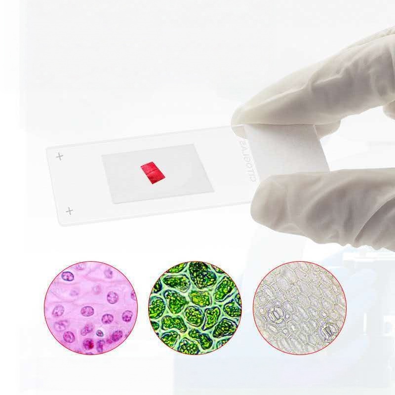 Citotest 50 Pezzi Vetrini Ades - Pathology Slide Storage recensione e prezzo