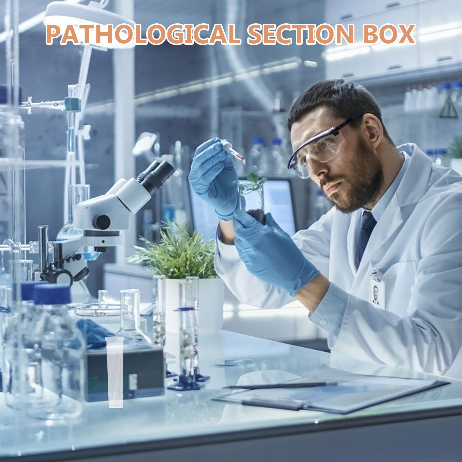10 scatole per la conservazion - Pathology Slide Storage recensione e prezzo